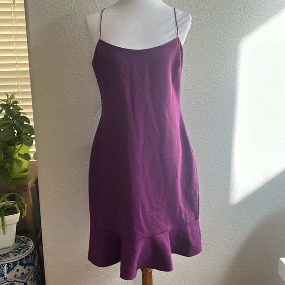 NWT Likely Purple Ruffle Hem Dress - Picture 2 of 8